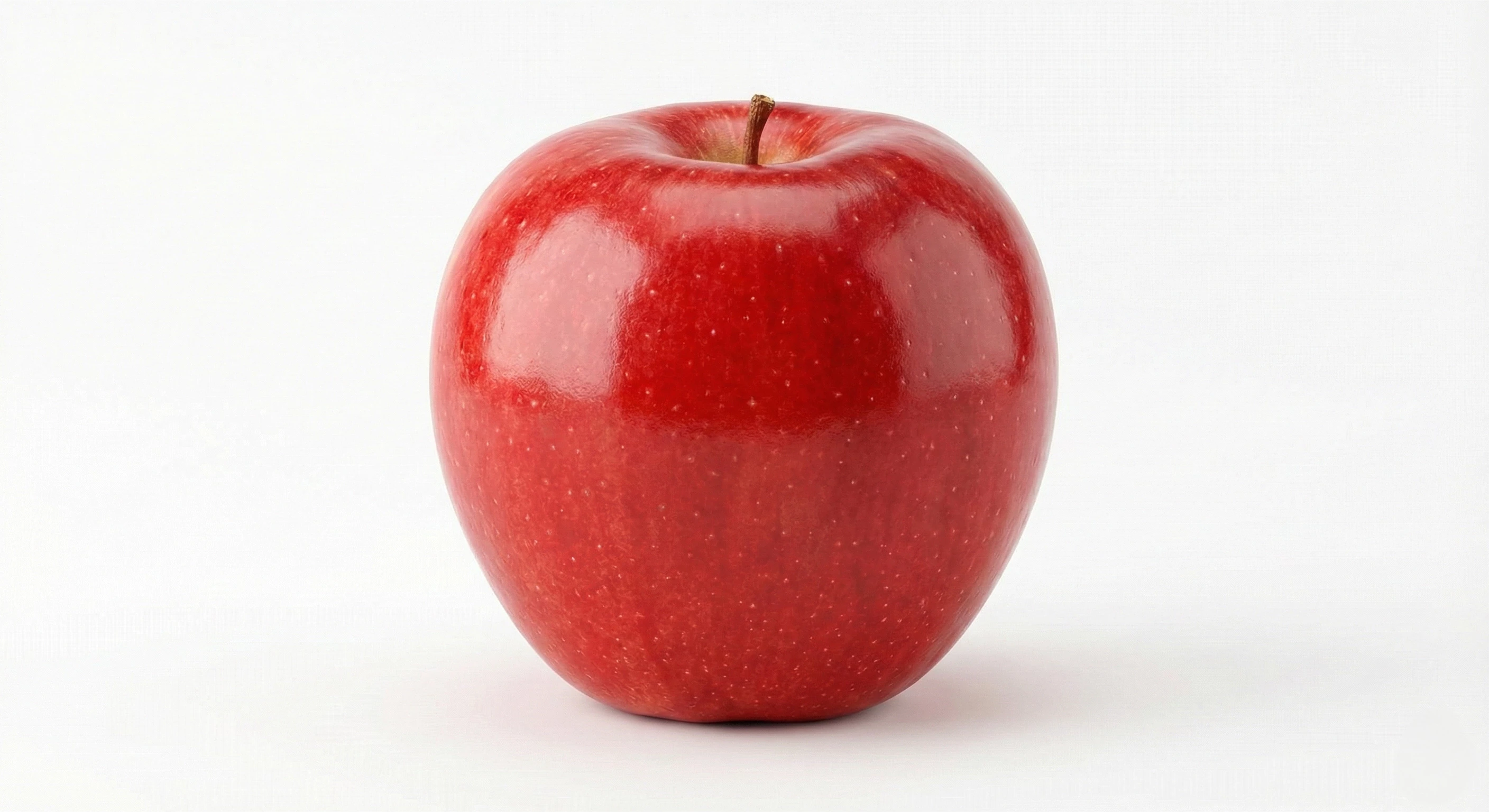 large picture of the cover