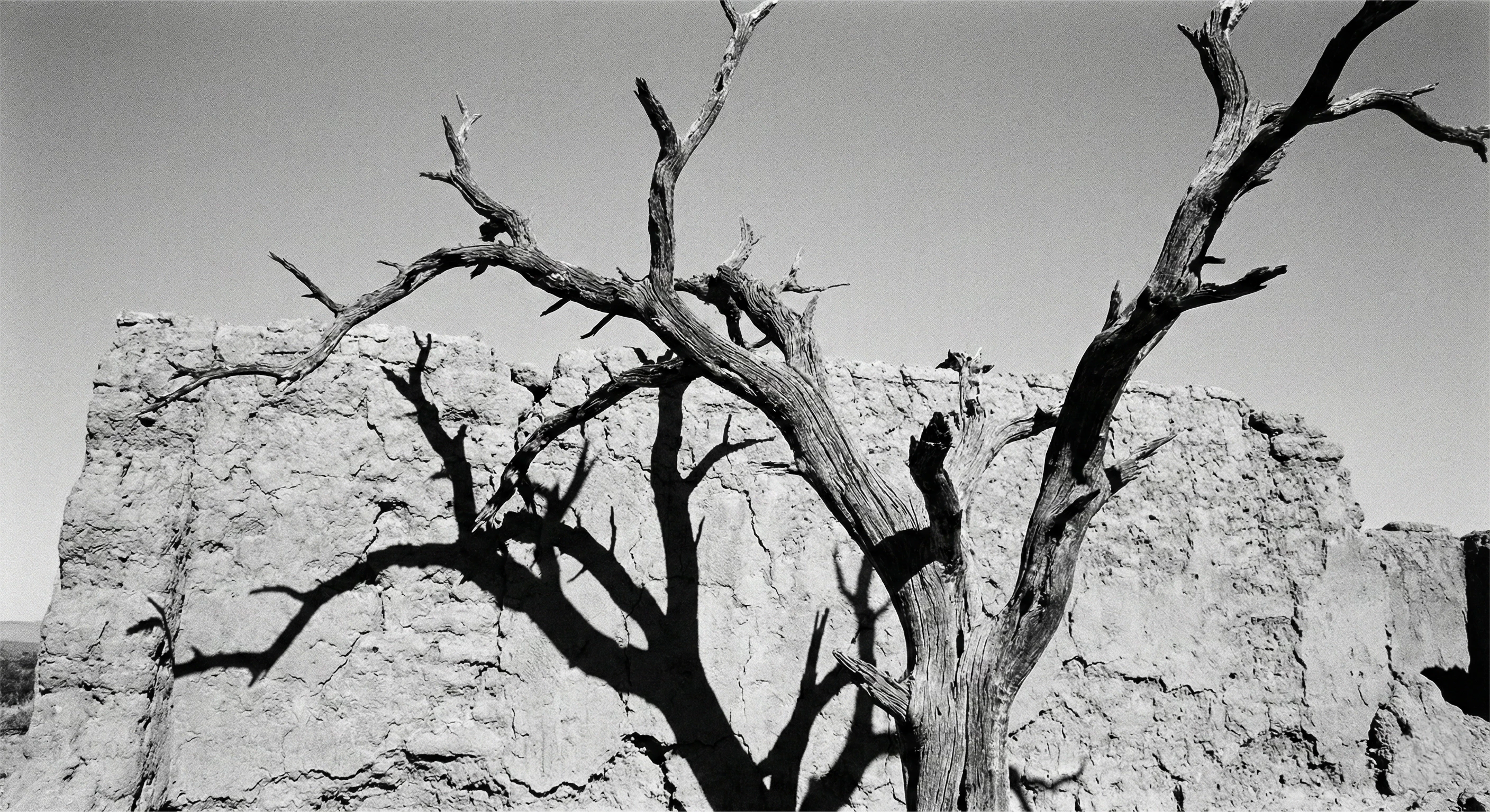 thumbnail of the cover of the post